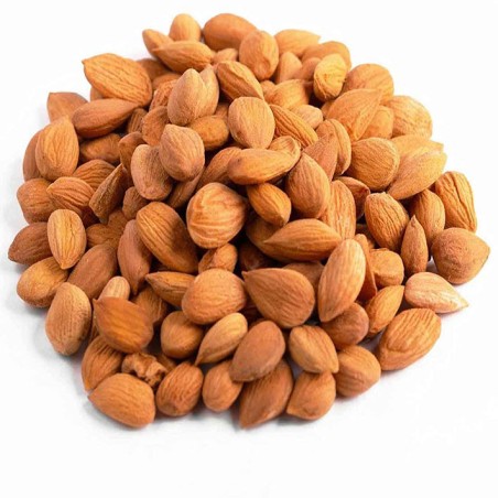 مغز هسته زردآلو در جه یک